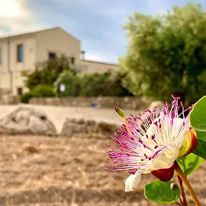 Pantanelli Di Vendicari 3*, Casa Maccari Italië